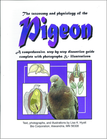 Pigeon Dissection Reference Guide