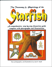 Starfish Dissection Reference Guide