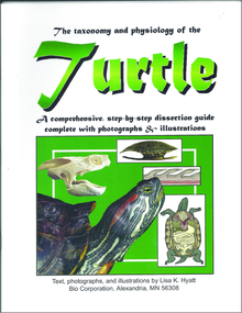 Turtle Dissection Reference Guide