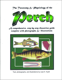 Perch Dissection Reference Guide