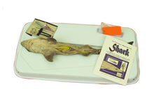 Shark-In-A-Box Kit