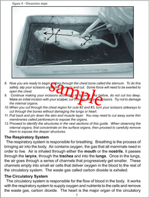 Fetal Pig Dissection Packet - Advanced
