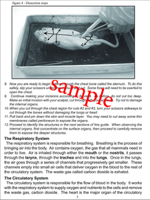 Fetal Pig Dissection Packet - Beginner