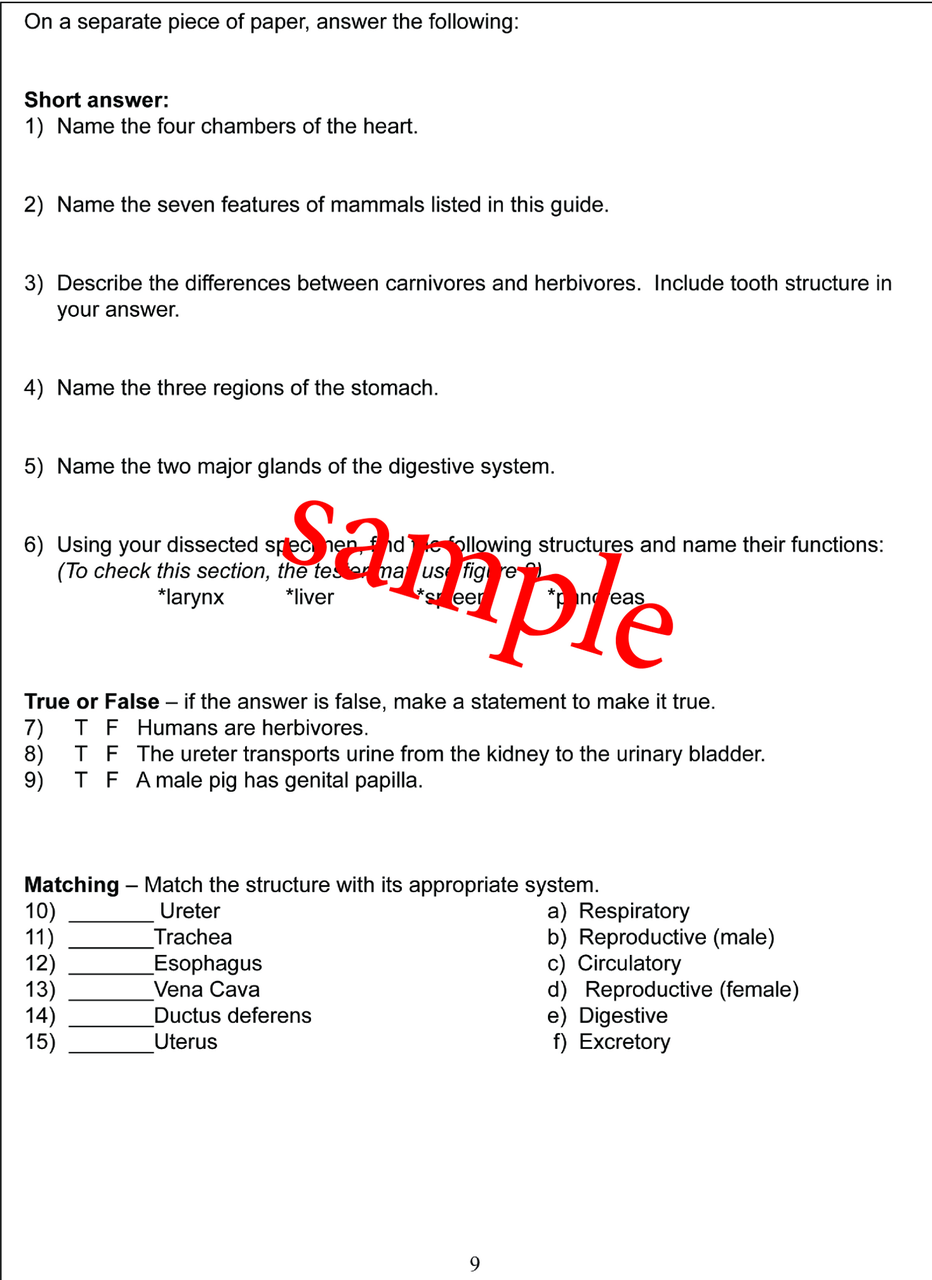 Frog Dissection Packet - Intermediate - Biologyproducts.com Intended For Frog Dissection Worksheet Answer Key