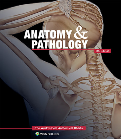 anatomic pathology