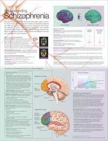 Reference Chart - Understanding Schizophrenia