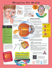 Reference Chart - Elementary Your Eyes