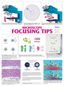 Wall Chart - Microscope Focus