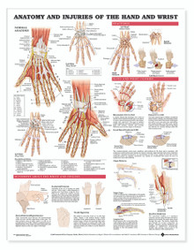 Reference Chart - Anatomy and Injuries of the Hand and Wrist