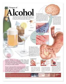 Reference Chart - Dangers of Alcohol
