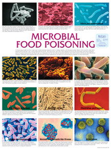 Wall Chart - Microbial Food Poisoning