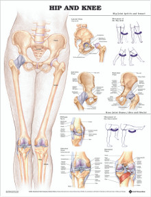 Reference Chart - Hip and Knee
