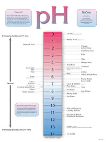 Wall Chart - pH