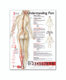 Reference Chart - Understanding Pain