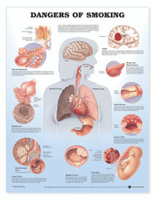 Reference Chart - Dangers of Smoking