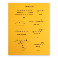 Periodic table Fun - Honey Bee Print