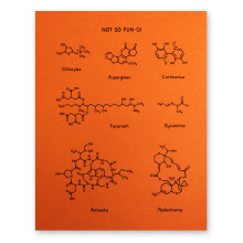 Periodic table Fun - Not So Fungi Print