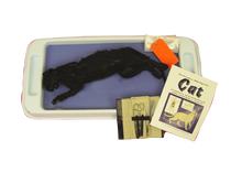 Cat-In-A-Box Kit