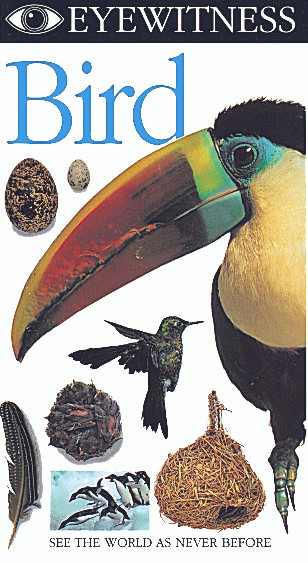 Eyewitness Bird DVD - Biologyproducts.com
