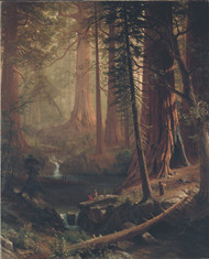 Giant Redwood Trees of California 1874 by Albert Bierstadt Framed Print on Canvas