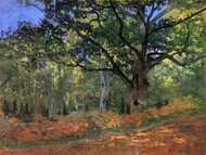 The Bodmer oak, Fontainbleau forest by Claude Monet Framed Print on Canvas