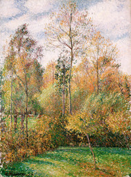 Autumn, Poplars, Eragny 1894 by Camille Pissarro Framed Print on Canvas