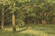 The Forest clearing 1896 by Ivan Shishkin Framed Print on Canvas
