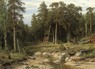 Mast Pine Forest in Viatka Province 1895 by Ivan Shishkin Framed Print on Canvas