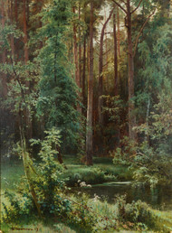 Woodland 1889 by Ivan Shishkin Framed Print on Canvas
