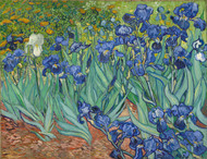 Irises 1889 by Vincent van Gogh Framed Print on Canvas