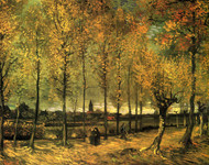 Lane with Poplars by Vincent van Gogh Framed Print on Canvas