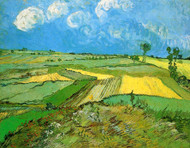 Wheat Fields at Auvers Under Clouded Sky by Vincent van Gogh Framed Print on Canvas