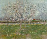 Orchard in Blossom (Plum Trees) 1888 by Vincent van Gogh Framed Print on Canvas