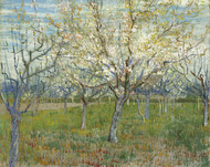 The pink orchard 1888 by Vincent van Gogh Framed Print on Canvas