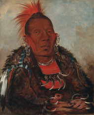 Wah-ro-noe-sah, The Surrounder, Chief of the Tribe 1832 by George Catlin Framed Print on Canvas