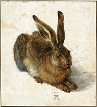 Hare - The Rabbit 1502 by Albrecht Durer Framed Print on Canvas