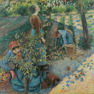 Apple Picking 1886 by Camille Pissarro Framed Print on Canvas