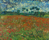 Field with Poppies / Poppy field 1890 by Vincent van Gogh Framed Print on Canvas