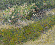 Lawn with butterflies 1889 by Vincent van Gogh Framed Print on Canvas