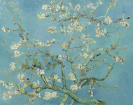 Almond blossom 1890 by Vincent van Gogh Framed Print on Canvas