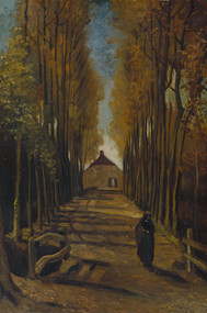 Avenue of poplars in autumn 1884 by Vincent van Gogh Framed Print on Canvas