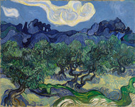 The Olive Trees 1889 by Vincent van Gogh Framed Print on Canvas
