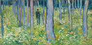 Undergrowth with Two Figures 1890 by Vincent van Gogh Framed Print on Canvas