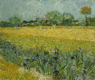 Field with flowers near Arles 1888 by Vincent van Gogh Framed Print on Canvas