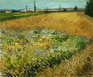 Wheatfield 1888 by Vincent van Gogh Framed Print on Canvas