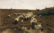 The Return of the Flock, Laren 1886 by Anton Mauve Framed Print on Canvas