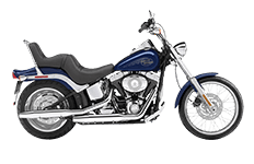 Harley Davidson Softail Custom FXSTC Saddlebags
