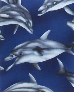 -5201-dolphins-102.jpg