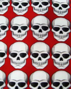 1206-skulls-robo-103.jpg 1206-skulls-robo-103.jpg