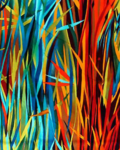 1522-religion-everglades.jpg 1522-religion-everglades.jpg